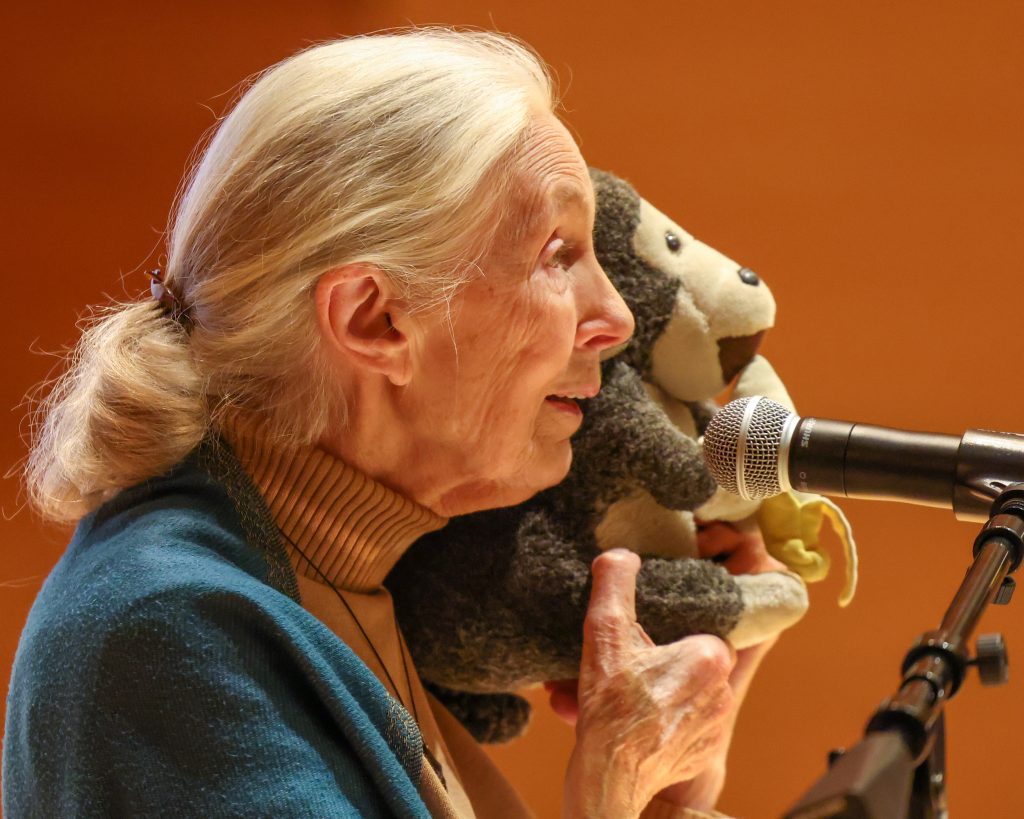 Dr Jane Goodall - Primatologist, Founder of the Jane Goodall Institute, UN Messenger of Peace